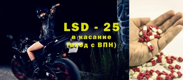 PSILOCYBIN Сатка