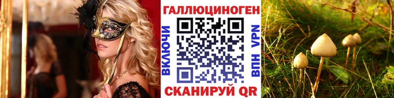 Псилоцибиновые грибы Psilocybine cubensis Мончегорск